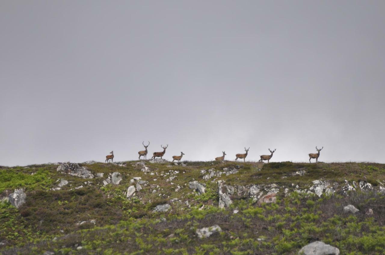 Upper Leanassie Villa Beauly Buitenkant foto